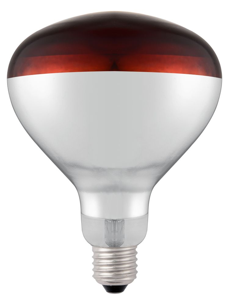 919217_shatterproof_bulb-red_02 Lampadina termica a infrarossi, HENDI, Rosso, 230V/250W, ⌀125x(H)170mm - immagine 1
